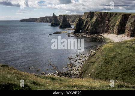 Duncansby Stacks, pinnacles rocheuses au sud de Duncansby Head près de John o' Groats, Caithness, Highland, Scottish Highlands, Scotland, UK Banque D'Images