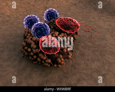 Virus et macrophages, les lymphocytes T attaquent colonie de champignons, les lymphocytes et les phagocytes colonie attaque de champignons, les droits de l'attaque du système immunitaire le champignon Banque D'Images