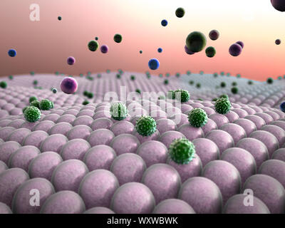 Domaine de cellules, les virus attaquent les cellules, action du système immunitaire humain Banque D'Images