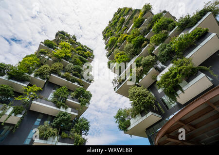 Milan, Italie : le gratte-ciel du nom de Bosco verticale (Vertical) de la forêt, l'architecture innovatrice et durable dans le quartier de Porta Nuova Banque D'Images