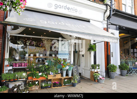 Gardenia boutique de fleurs sur le haut de gamme dans la rue Teddington, Middlesex, Royaume-Uni Banque D'Images