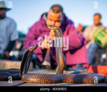 Marrakech, Maroc - 15 jan 2019 : charmeur de serpent à la place Jemaa el Fnaa à Marrakech, Maroc. Banque D'Images