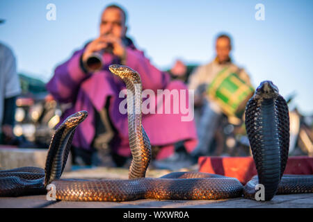 Marrakech, Maroc - 15 jan 2019 : charmeur de serpent à la place Jemaa el Fnaa à Marrakech, Maroc. Banque D'Images