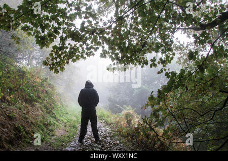 Un homme cagoulé debout avec son dos à la caméra sur un autre chemin sur un moody foggy journée d'automne. Banque D'Images