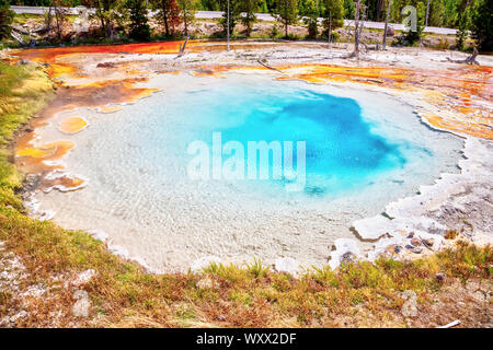 Silex printemps, un printemps chaud piscine de fontaine Pot de peinture dans le Parc National de Yellowstone, Wyoming, USA. Banque D'Images