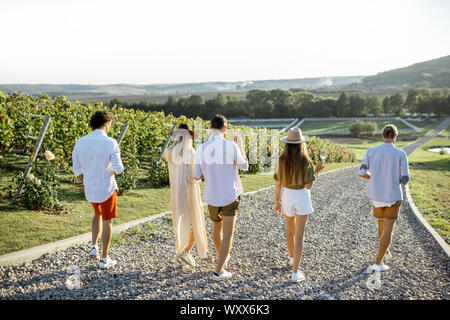 Groupe de jeunes amis habillés de désinvolture à traîner ensemble, à marcher avec des verres à vin sur le vignoble sur une journée ensoleillée, vue d'en haut Banque D'Images