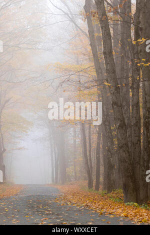 Misty à vide, à l'automne dans le Vermont, New England, USA Banque D'Images