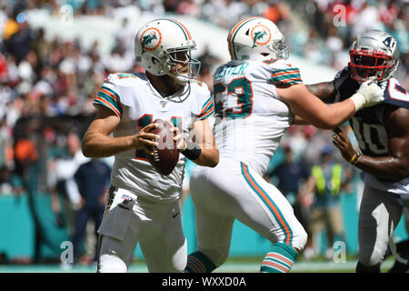 Jardins de Miami en Floride, USA. 15 Sep, 2019. Ryan Fitzpatrick # 14 de Miami en action au cours de la NFL football match entre les dauphins de Miami et New England Patriots au Hard Rock Stadium de Miami Gardens FL. Les Patriotes a défait les dauphins 43-0. Credit : csm/Alamy Live News Banque D'Images