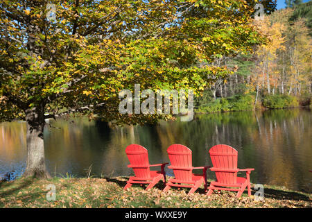 Muskoka chaises, aussi connus comme des chaises Adirondack par sauvetage lac près de Ludlow dans le Vermont, New England, USA Banque D'Images