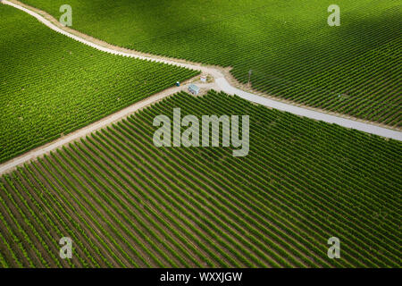 Vue aérienne du vignoble dans la vallée de l'Okanagan, Colombie-Britannique, Canada Banque D'Images