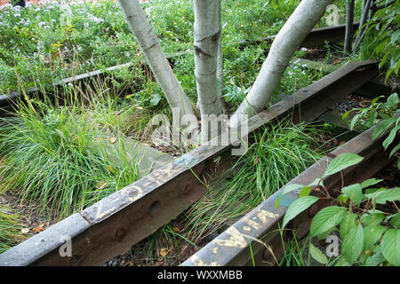 Trembles et les voies ferrées désaffectées sur la ligne haute du parc surélevé passerelle sur west side de Manhattan, New York City, USA Banque D'Images