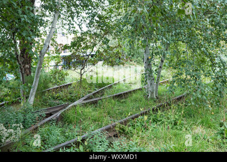 Trembles et les voies ferrées désaffectées sur la ligne haute du parc surélevé passerelle sur west side de Manhattan, New York City, USA Banque D'Images