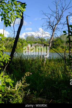 Vue sur Lac Kiche Manitou dans la forêt du parc provincial Spruce Woods au Manitoba, Canada Banque D'Images