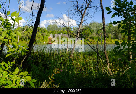 Vue sur Lac Kiche Manitou dans la forêt du parc provincial Spruce Woods au Manitoba, Canada Banque D'Images