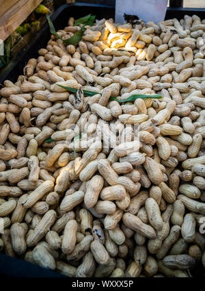 Les arachides en vente dans l'épicerie un dimanche à New York, le 15 septembre 2019. (© Richard B. Levine) Banque D'Images