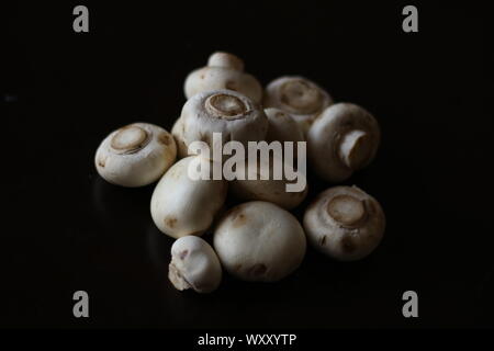 Ensemble de champignons blancs sur un fond noir avec un éclairage doux et naturels Banque D'Images