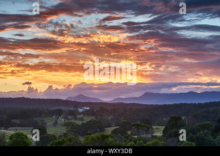 Les soleils la lumière se reflétant sur les nuages juste après le coucher du soleil au-dessus d'une forêt avec la Cordillère australienne dans l'arrière-plan pris de Repton, NSW, Australie Banque D'Images