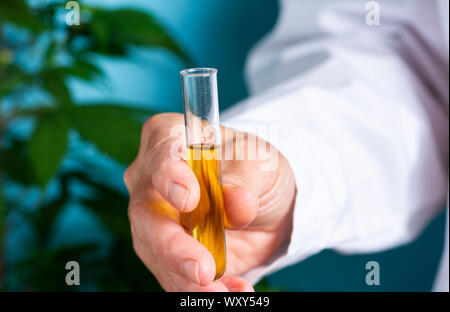 Scientist holding l'huile de cannabis de près, la médecine alternative abstract Banque D'Images