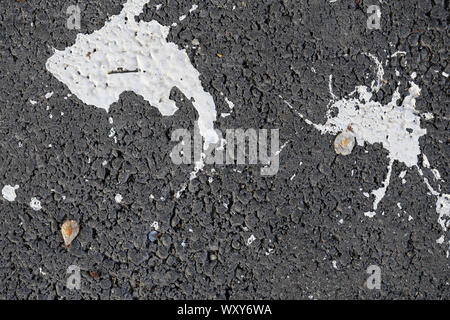 Résumé fond. Sur cette photo vous pouvez voir l'asphalte avec splash de peinture blanche sur elle. Il y a aussi quelques morceaux d'arbres. Belle texture. Banque D'Images