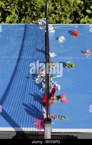 Image en couleur d'une des tables de tennis de table bleu et parsemé de fleurs coupées net à la suite d'une tempête de pluie Banque D'Images