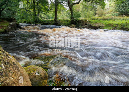 Un gros plan de la rivière Washburn dans Nidderdale lorsque la rivière est dans le plein débit en raison de l'eau provenant du réservoir d'Thruscross Banque D'Images