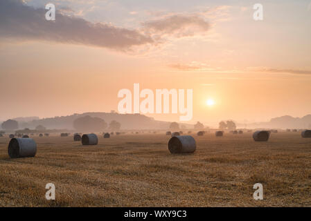 Tour de bottes de paille dans un champ à travers des arbres dans la campagne de l'Oxfordshire, Angleterre Banque D'Images