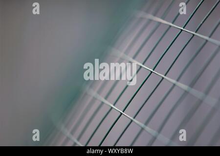 Nouveau livre vert grillage de séparation, macro photo, art au point sélective Banque D'Images