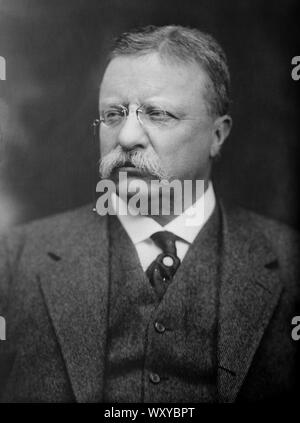 Theodore Roosevelt (1858-1919) 26e président des États-Unis 1901-09, Head and shoulders Portrait, Bain News Service, 1915 Banque D'Images