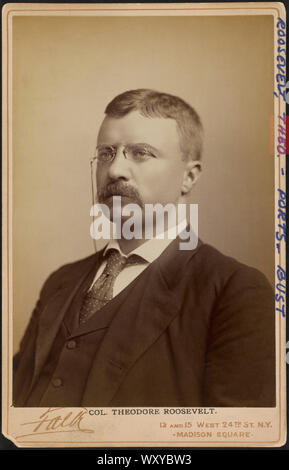 Le colonel Theodore Roosevelt, Head and shoulders Portrait, Photo par B.J. Falk, 1898 Banque D'Images