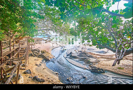À pied le pont de bambou dans la jungle profonde avec vue sur ruisseau étroit, courant à travers la plage de Ao Nang Krabi, Thaïlande, Côte Banque D'Images