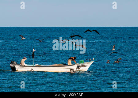 Pêcheurs en bateau à Puerto Vallarta, Jalisco, Mexique. Banque D'Images