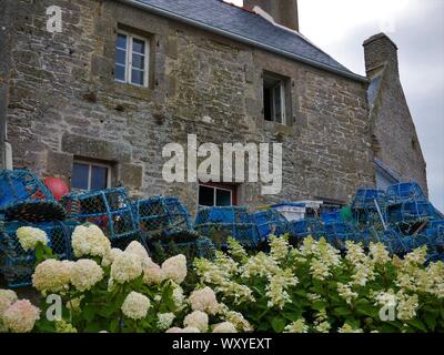 Maison breton fleurie d'hortensias avec des accessoires de peche au crustacés , toit en ardoise , casier de peche , le conquet , bretagne Banque D'Images