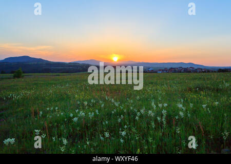 Coucher du soleil sur l'été à Zlatibor Serbie Banque D'Images