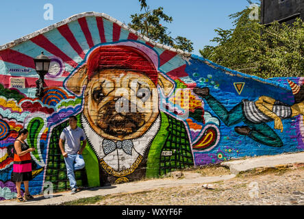 Mur art graffiti, Puerto Vallarta, Jalisco, Mexique. Banque D'Images