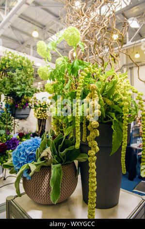 Bouquet haut d'amaranth et d'hortensias couleur vert OVNI, décoré de branches de vignes exotiques. Nouveautés de la sélection moderne de plantes de jardin Banque D'Images