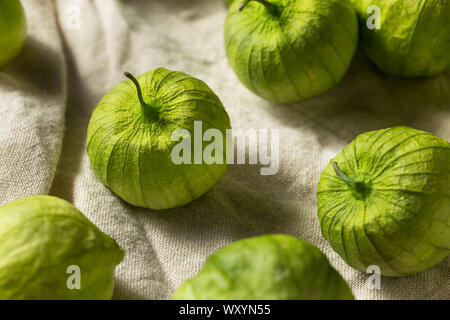 Tomatillos frais vert biologique dans une cosse Banque D'Images