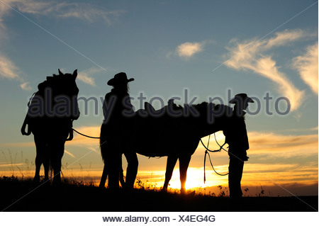 Cowboy et Cowgirl avec les chevaux au coucher du soleil, en Saskatchewan, au Canada, en Amérique du Nord Banque D'Images