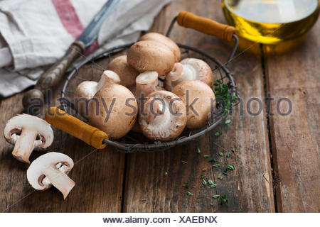 Champignon champignons frais