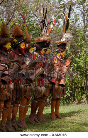 Huli Wigmen Danse Et Tambour Dans Leurs Coiffes En Plumes D