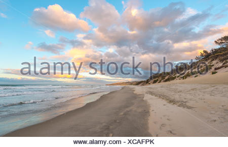Plage de St clairs, coucher de soleil sur la plage, Otago, île du Sud, Nouvelle-Zélande
