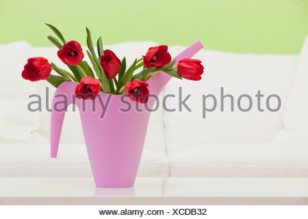 Bouquet de tulipes rouges en pot d'arrosage en plastique, studio shot