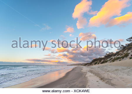 Plage de St clairs, coucher de soleil sur la plage, Otago, île du Sud, Nouvelle-Zélande