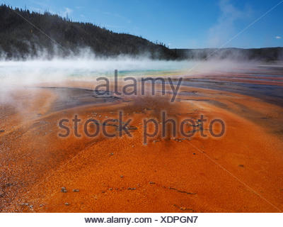 Grand Prismatic Spring, Midway Geyser Basin, USA, Wyoming, Yellowstone National Park