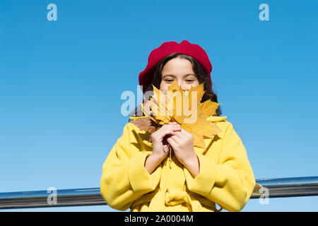 Cielo chiaro e di buon tempo. Ispirando caduta. Idee per il tempo libero d'autunno. Bambina adorare la stagione autunnale. Kid tenere foglie di acero. Piccola ragazza indossare abbigliamento cadere all'esterno. Autunno lista della benna per bambini. Foto Stock