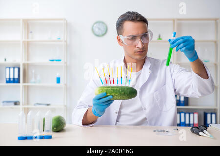 Il maschio di nutrizione esperto ortaggi di test in laboratorio Foto Stock