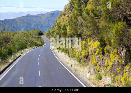 Paul da Serra paesaggio montuoso e vuoto curva road sull isola di Madeira, Portogallo. Foto Stock