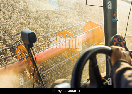 Contro lo sfondo di un giorno d'estate e di sole e cielo blu con nuvole. Mietitrebbia mature di raccolta di grano dorati sul campo. L'immagine del Foto Stock