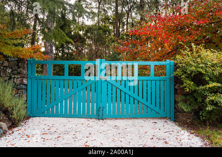 Porte blu contro autunno alberi sullo sfondo. Paesaggio rurale, cancello di ingresso Foto Stock