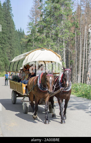 Gruppo di turisti sul cavallo carrello sulla strada di Morskie Oko lago (letteralmente 'sea occhio'), Alti Tatra: Zakopane, Polonia - 01 Settembre 2019 Foto Stock