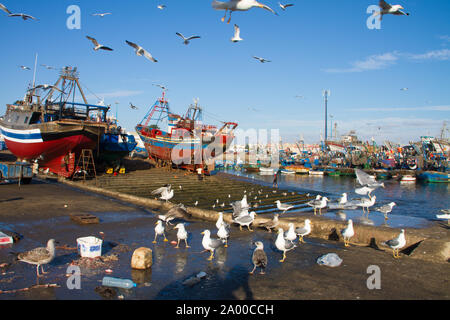 Stormi di gabbiani sorvolano Essaouira porto di pescatori, Marocco. La pesca in barca ormeggiata al porto di Essaouira attende per una riparazione completa con un gancio in barca Foto Stock